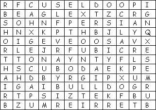 Pets Word Search Puzzle