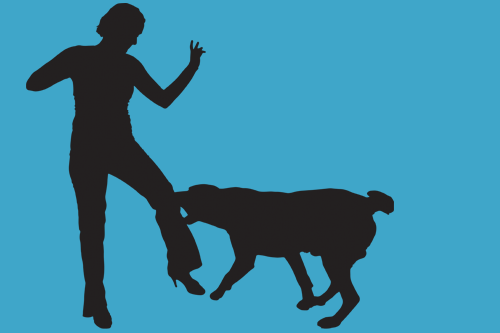 Silhouette of dog biting a person