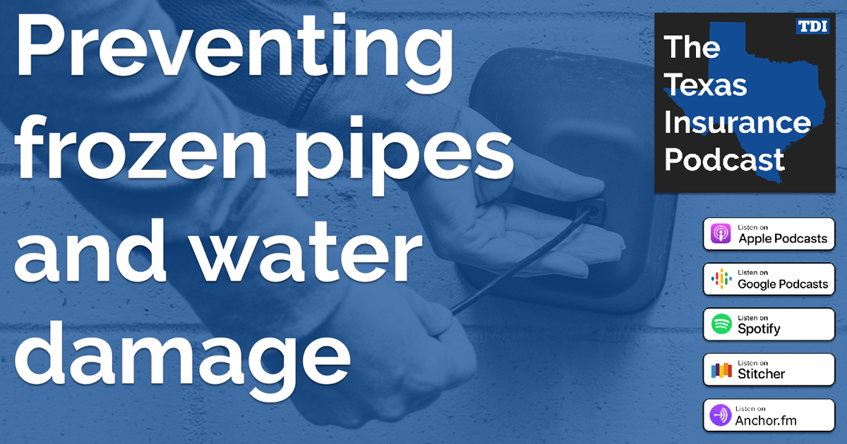 Protect Your Pipes from Freezing - DEP